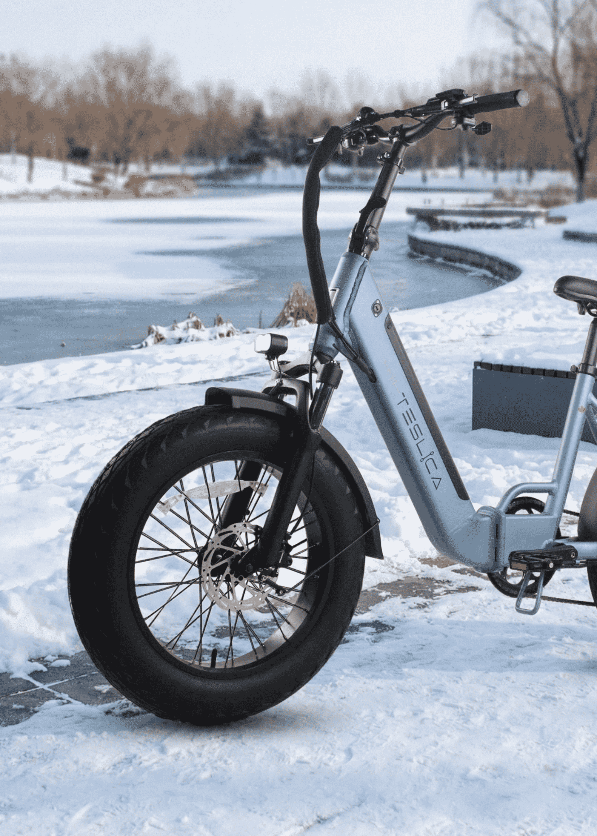 Teslica Fat Tire eBikes