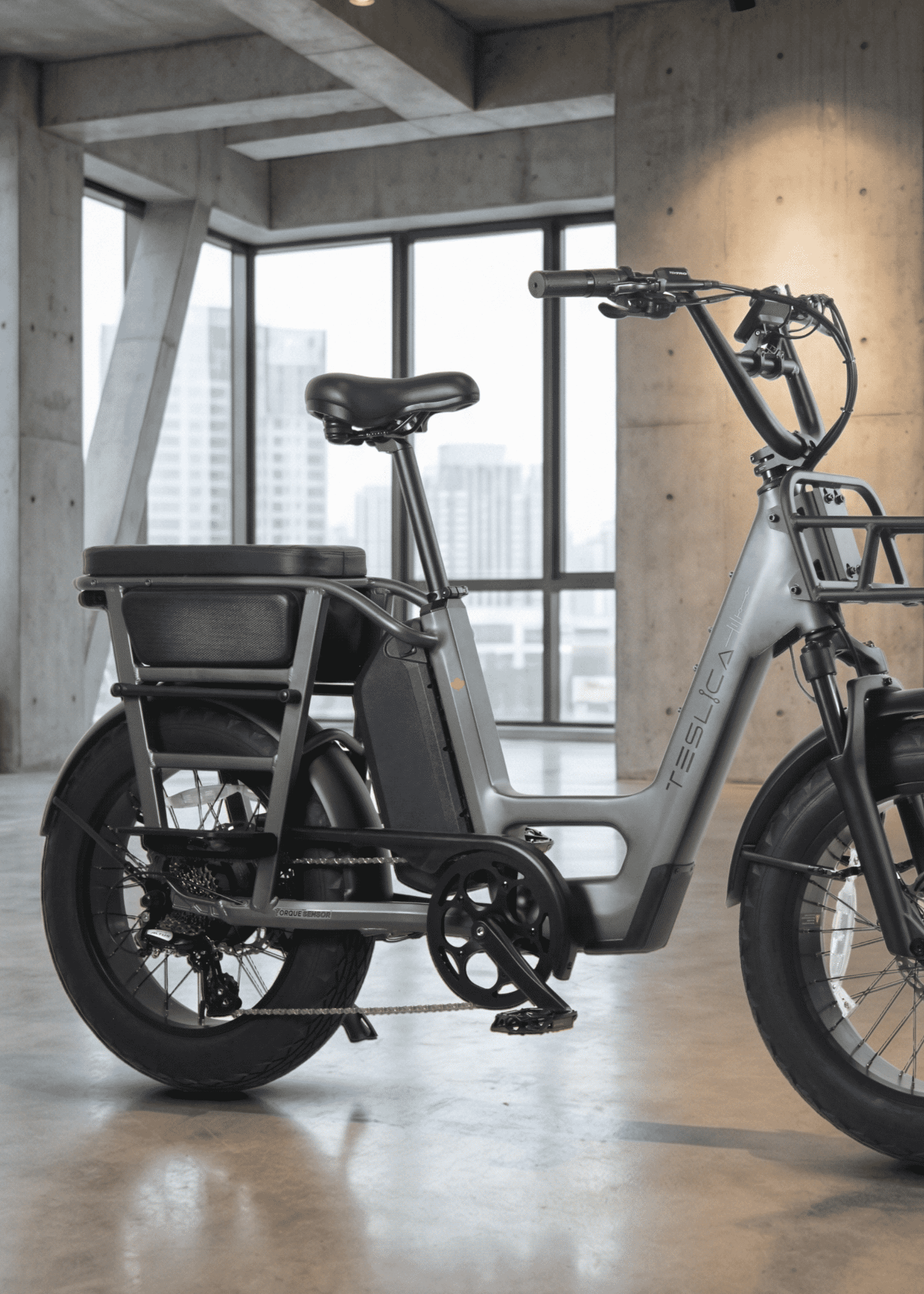 Teslica Step-Through eBikes