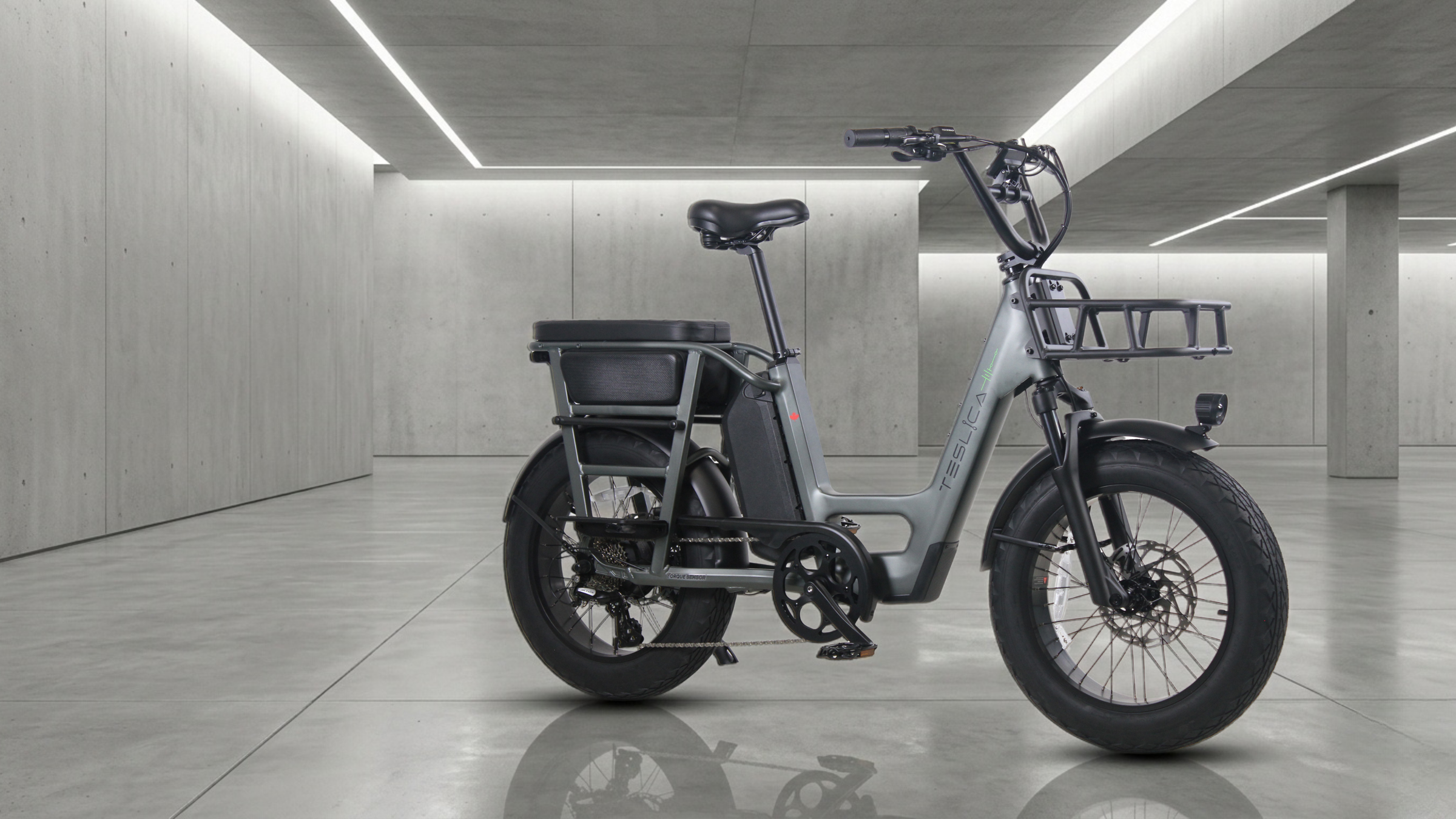 Teslica Care-Go Cargo eBike CG2