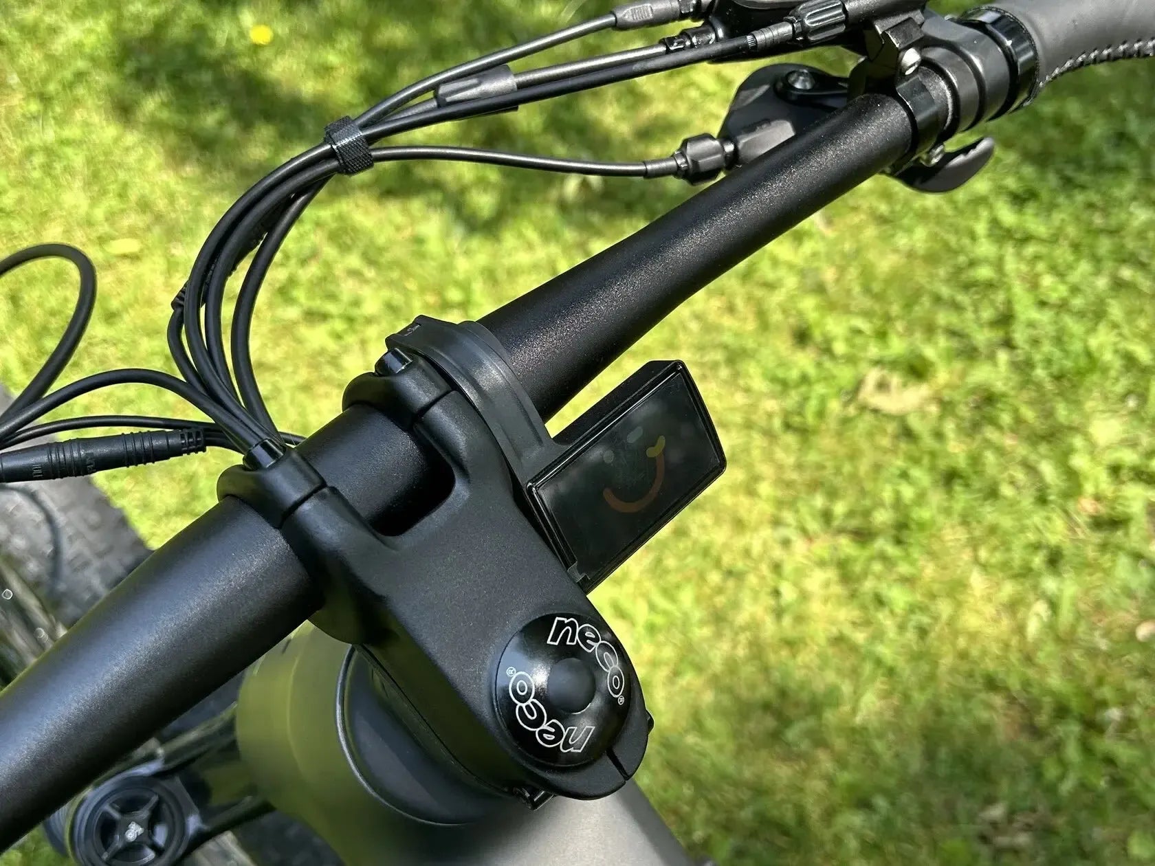 Triumph Mountain eBike | E1H