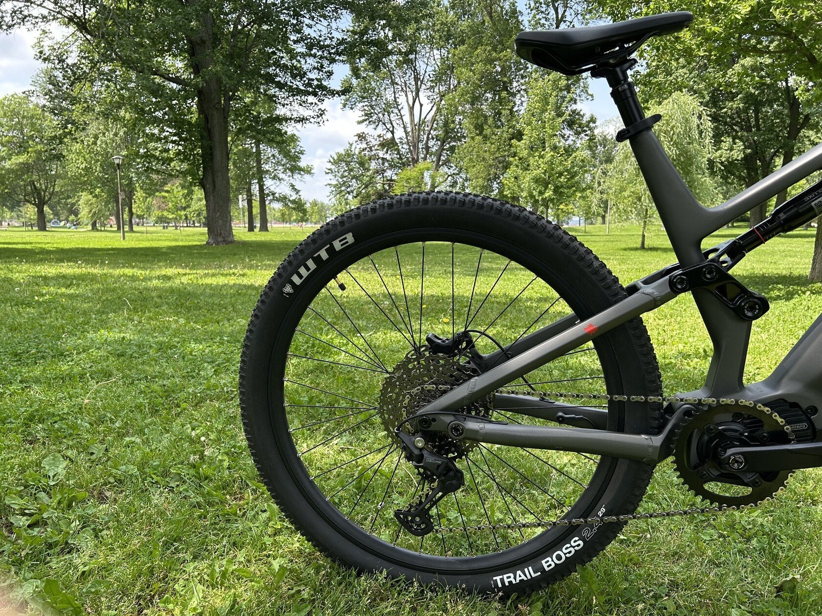 Triumph Mountain eBike | E1H