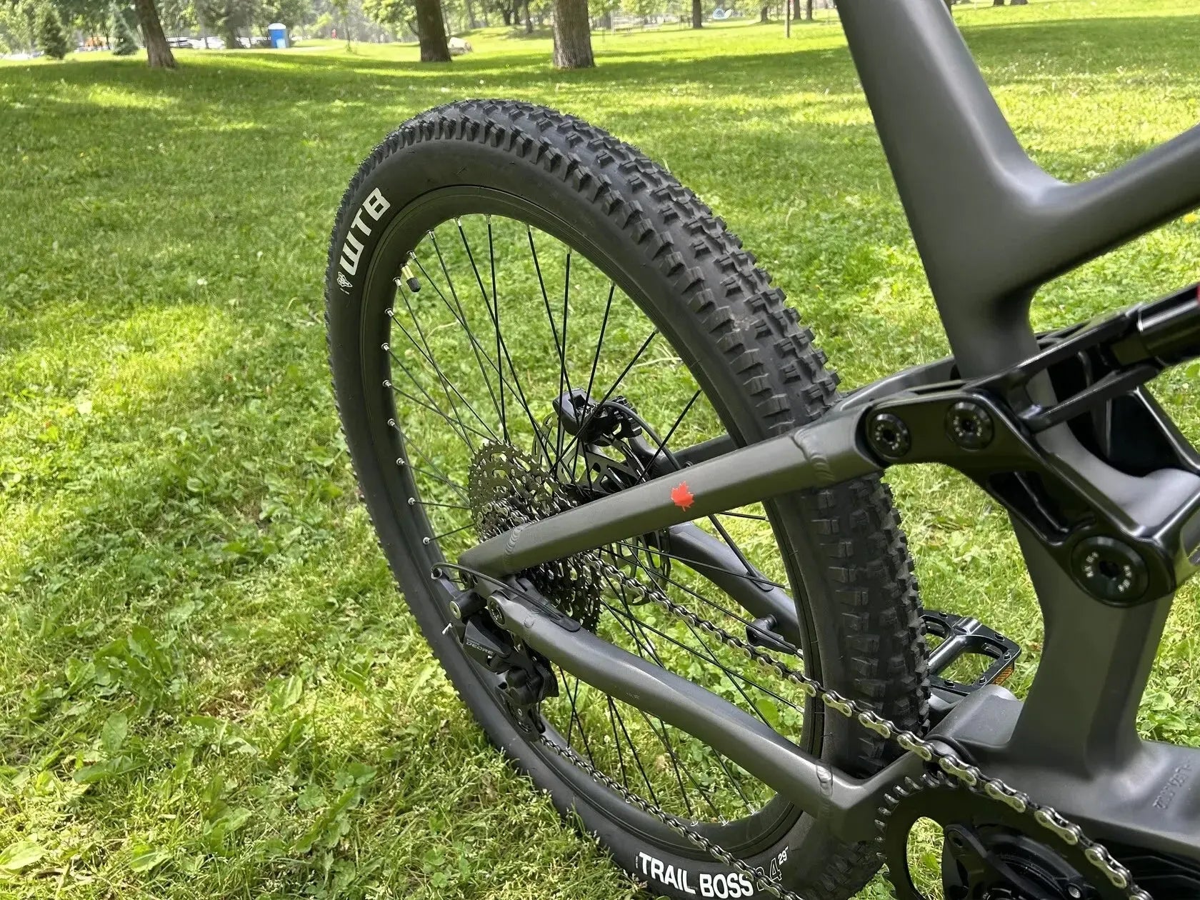Triumph Mountain eBike | E1H