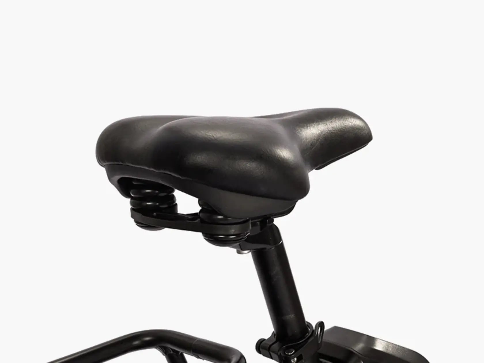 Ambition Fat Tire Elite Step-Thru eBike | F27e-Teslica eBikes