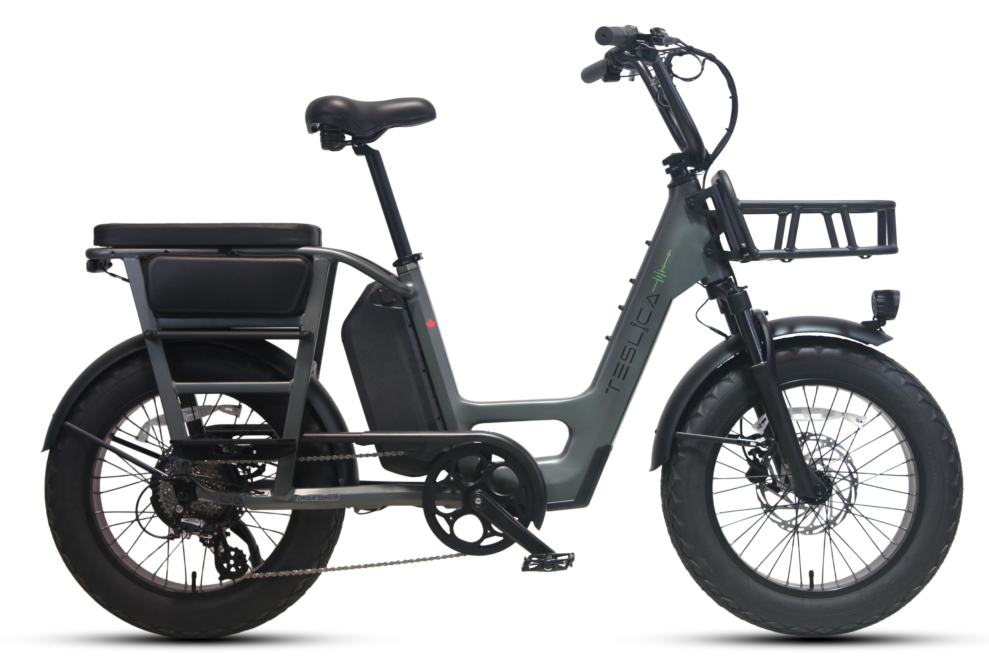 Care-Go Cargo eBike | CG2-Teslica eBikes