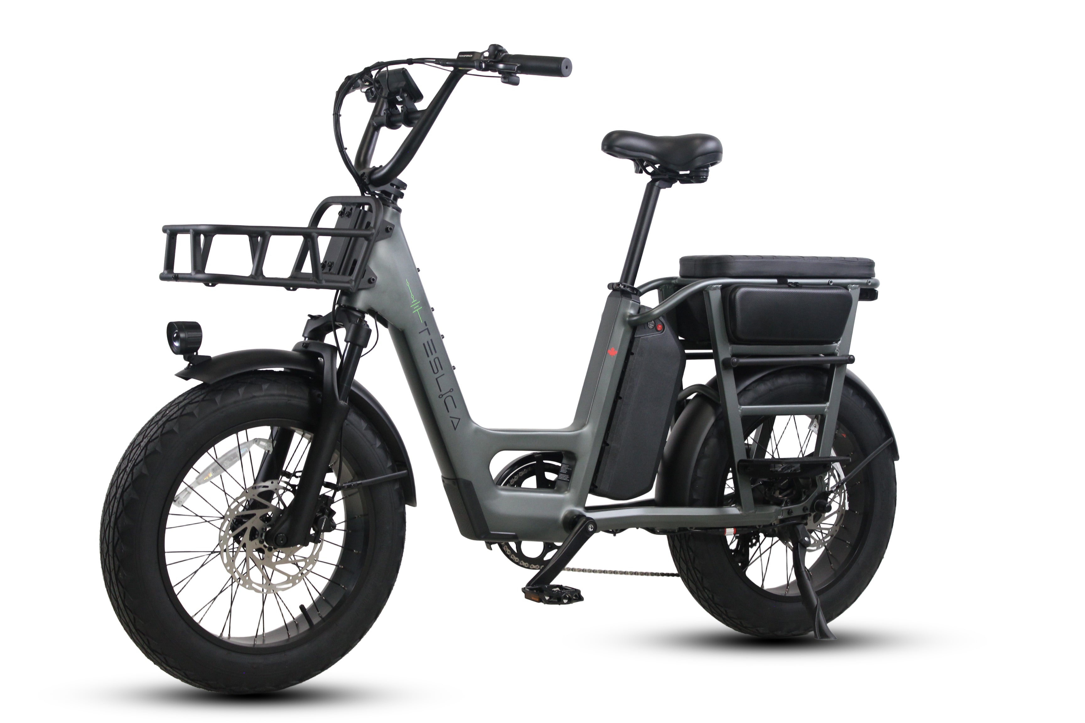 Care-Go Cargo eBike | CG2
