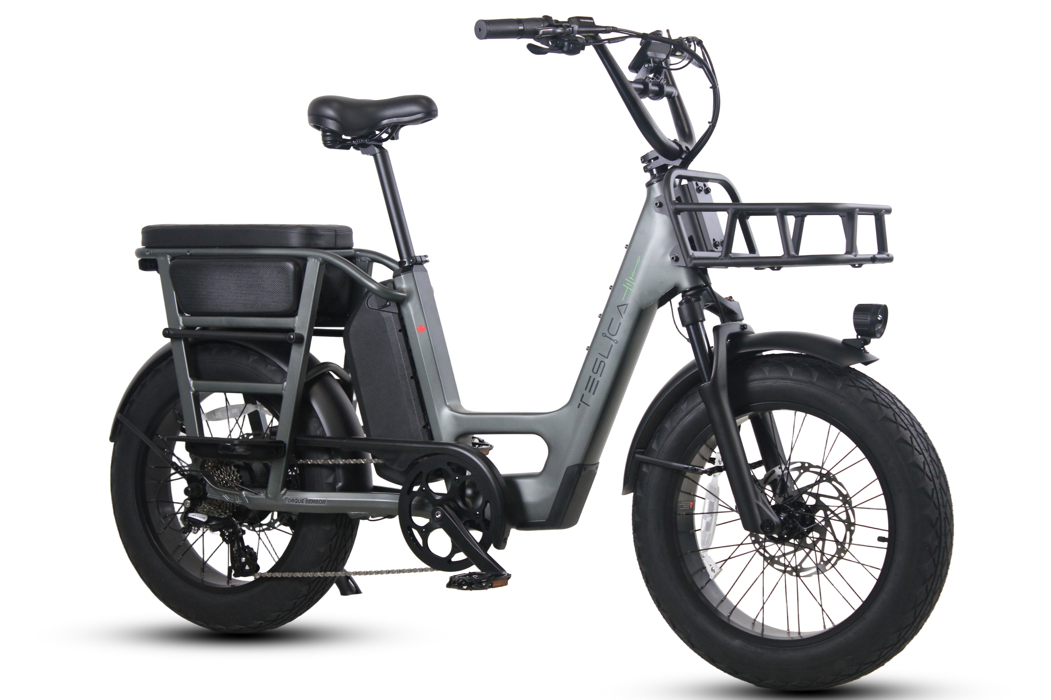 Care-Go Cargo eBike | CG2-Teslica eBikes