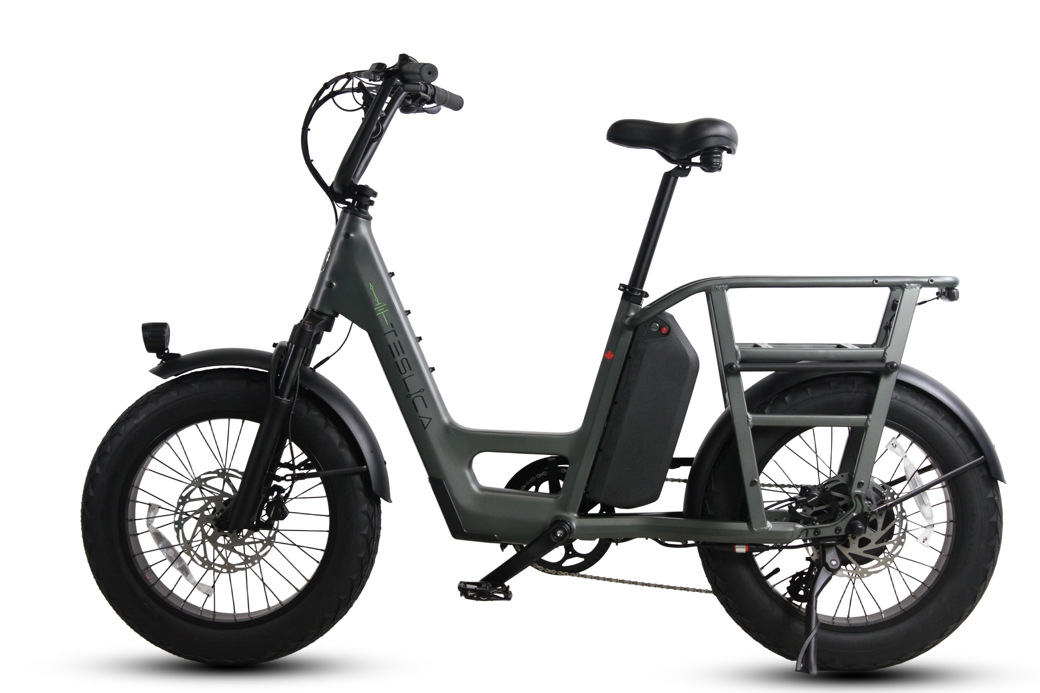 Care-Go Cargo eBike | CG2