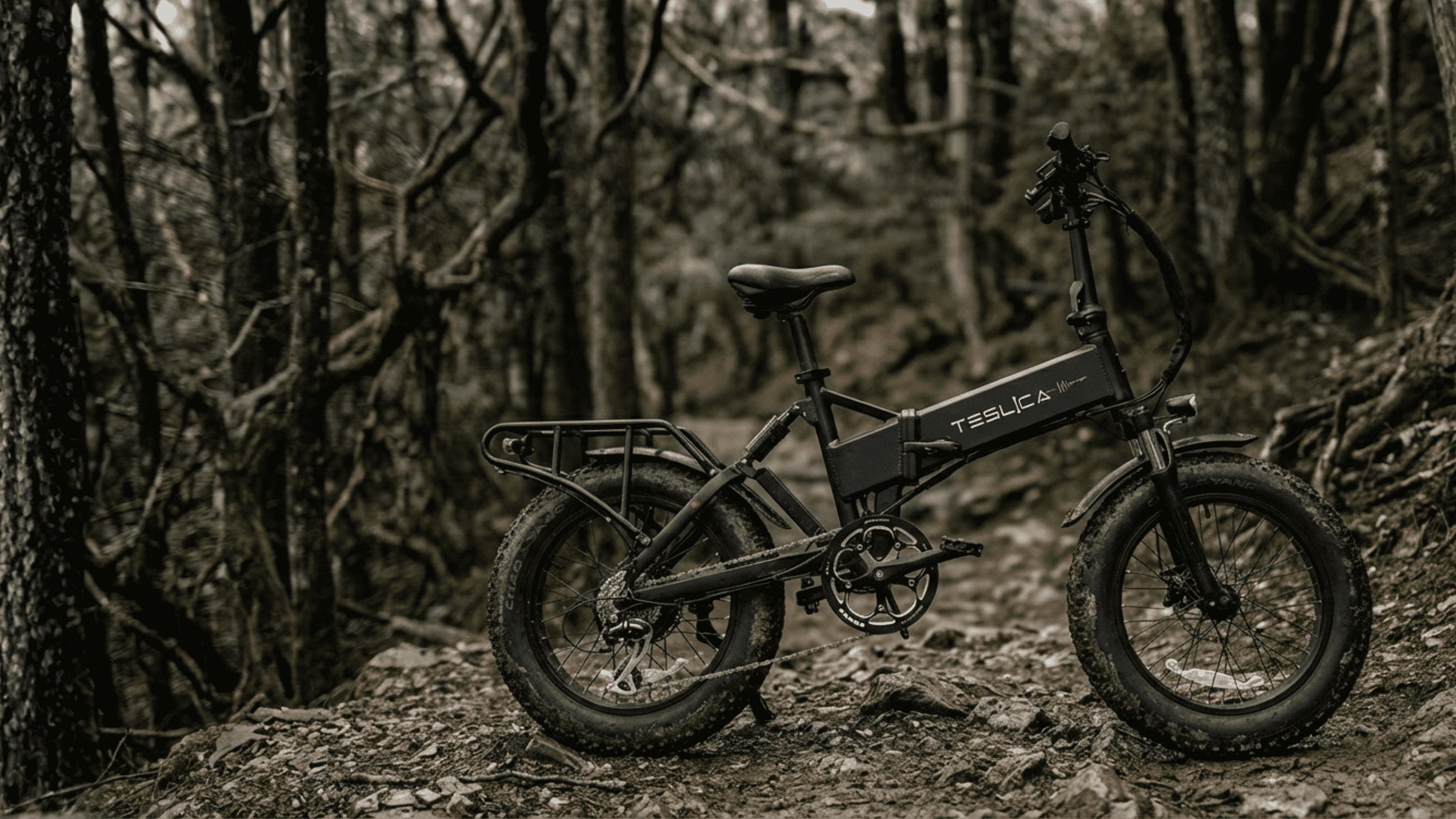Teslica Force fat tire dual suspension eBike
